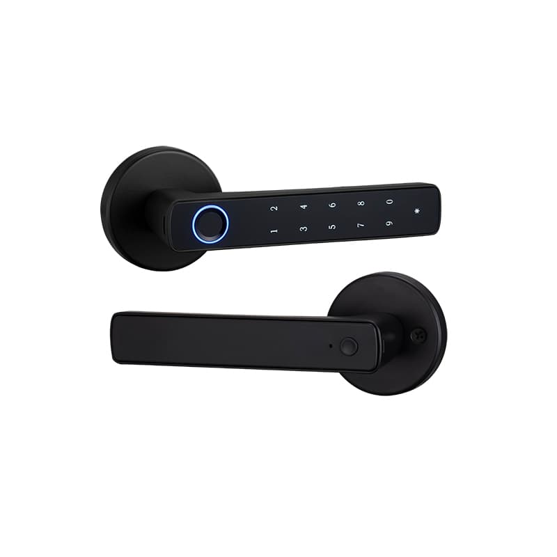 Compact Smart Locks